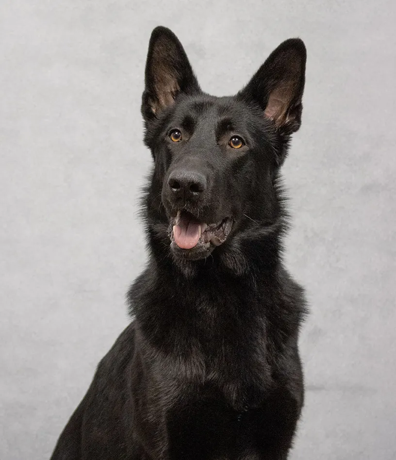 Nala