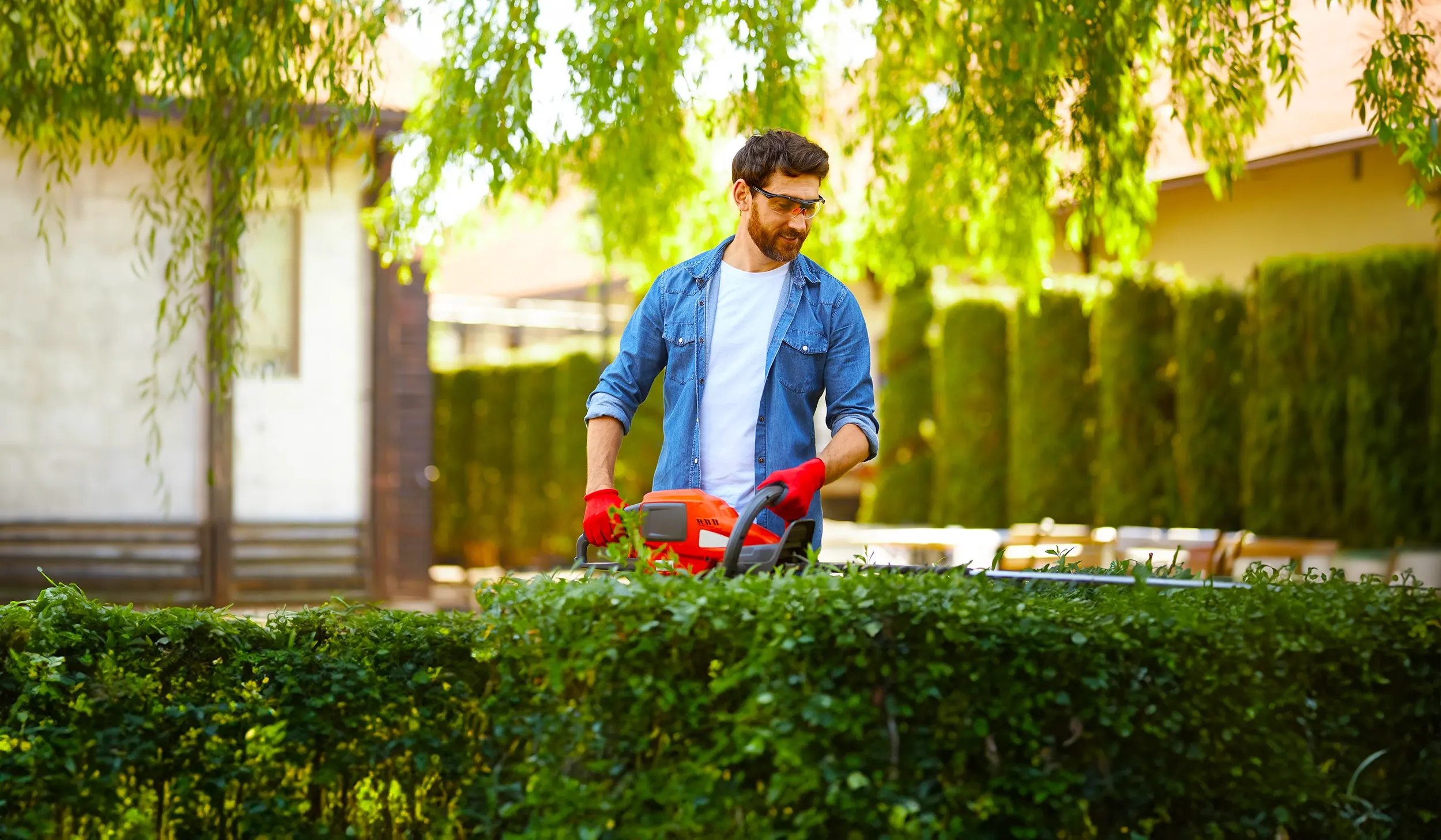G&auml;rtner schneidet mit Heckenschere eine Hecke im Garten